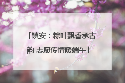 镇安：粽叶飘香承古韵 志愿传情暖端午